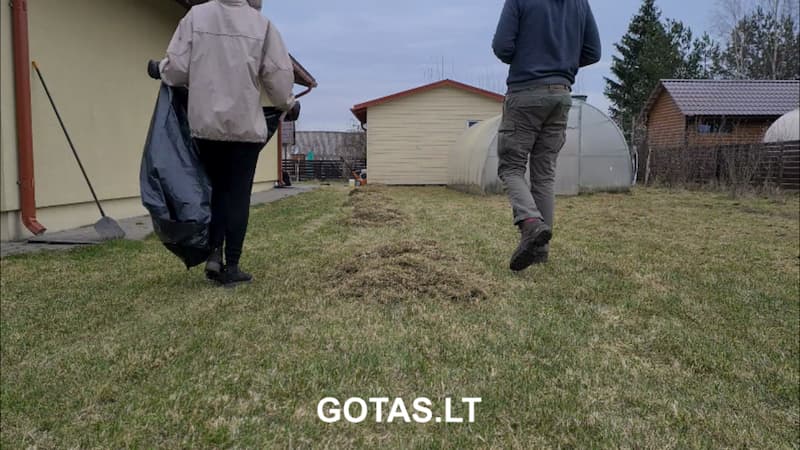 Surinktos žaliosios atliekos po vejos skarifikavimo